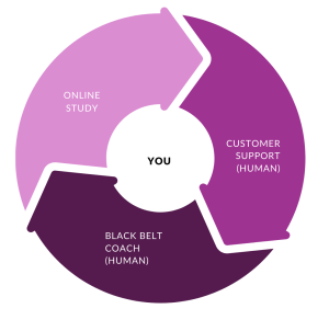 Change Consulting Scotland Lean Training Model